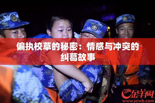 偏执校草的秘密：情感与冲突的纠葛故事