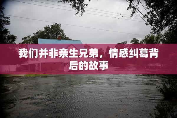 我们并非亲生兄弟，情感纠葛背后的故事