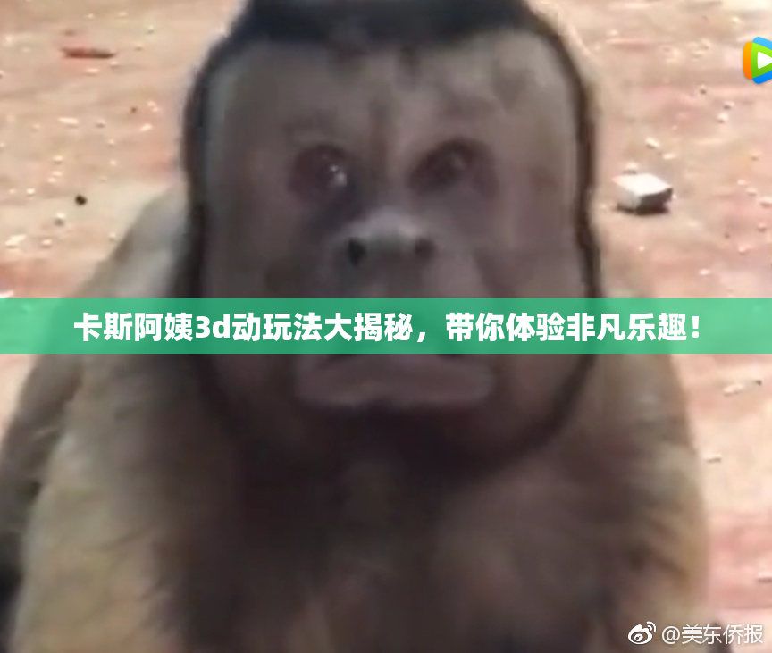 卡斯阿姨3d动玩法大揭秘，带你体验非凡乐趣！