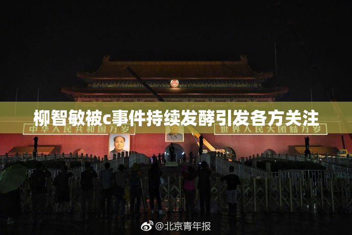 柳智敏被c事件持续发酵引发各方关注