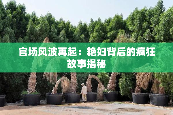 官场风波再起：艳妇背后的疯狂故事揭秘