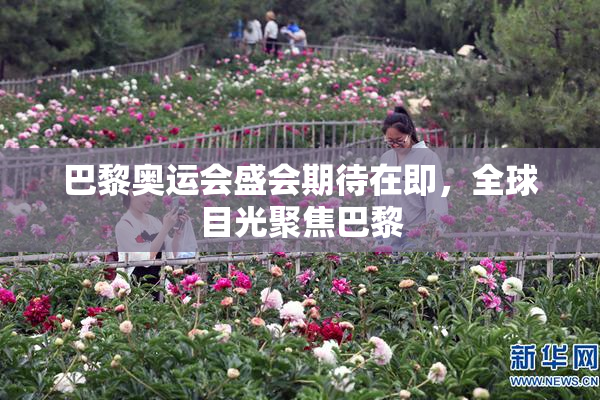 巴黎奥运会盛会期待在即，全球目光聚焦巴黎