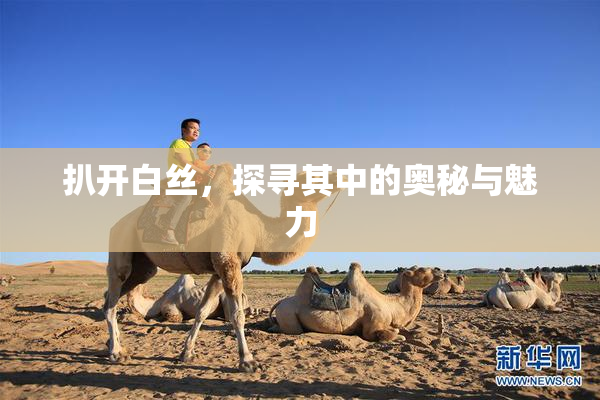 扒开白丝，探寻其中的奥秘与魅力