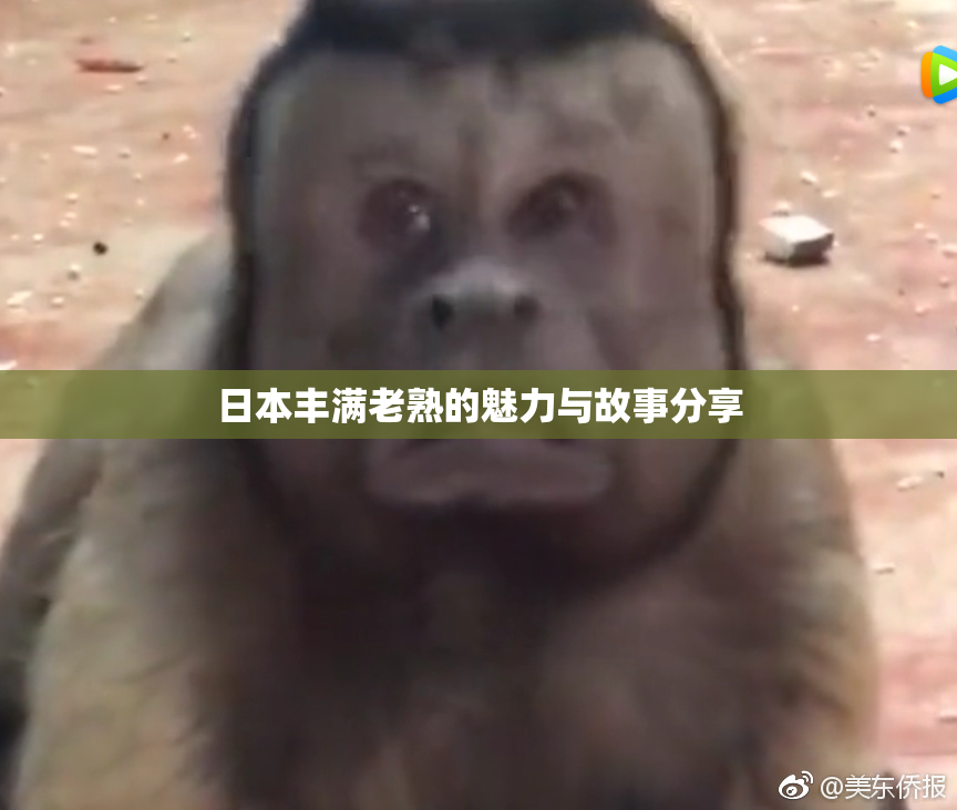 日本丰满老熟的魅力与故事分享