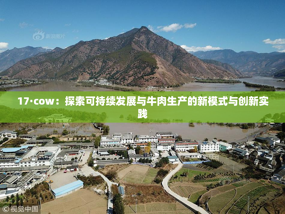 17·cow：探索可持续发展与牛肉生产的新模式与创新实践