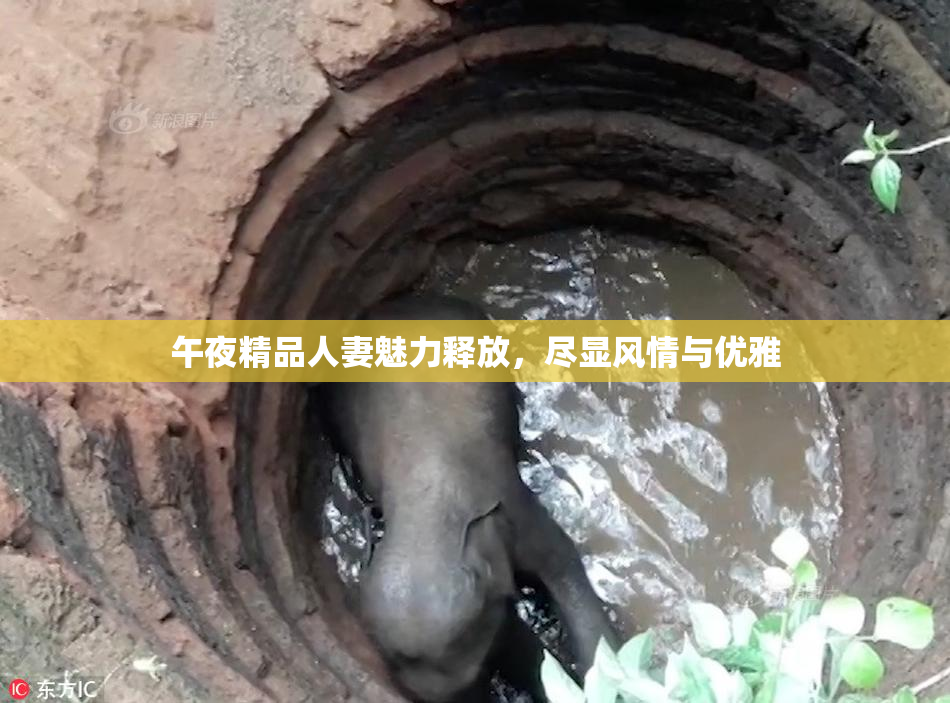 午夜精品人妻魅力释放，尽显风情与优雅