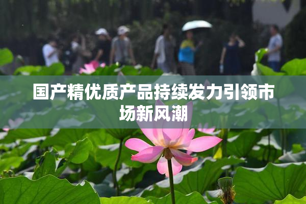 国产精优质产品持续发力引领市场新风潮