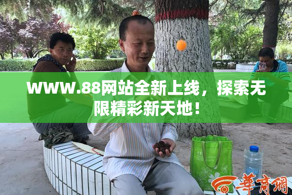 WWW.88网站全新上线，探索无限精彩新天地！