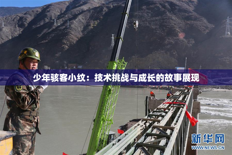 少年骇客小纹：技术挑战与成长的故事展现