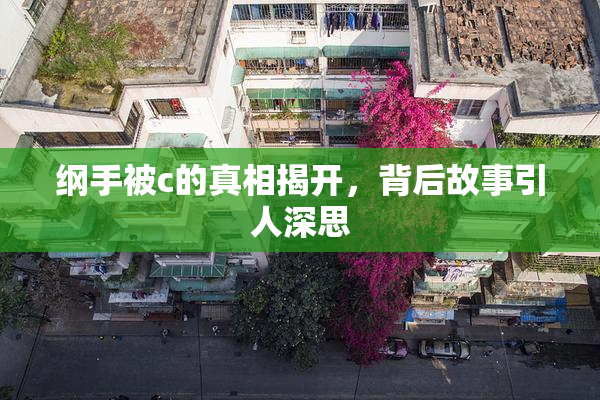 纲手被c的真相揭开，背后故事引人深思