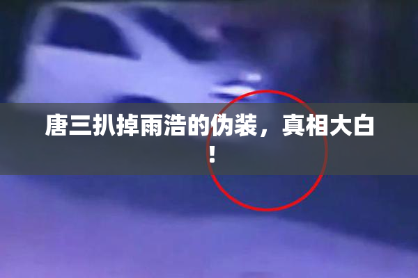 唐三扒掉雨浩的伪装，真相大白！