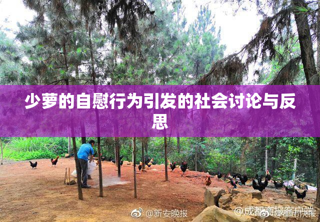 少萝的自慰行为引发的社会讨论与反思