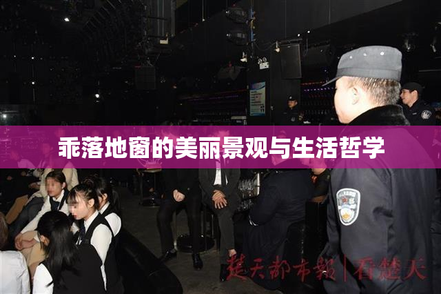 乖落地窗的美丽景观与生活哲学