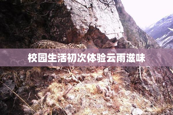 校园生活初次体验云雨滋味