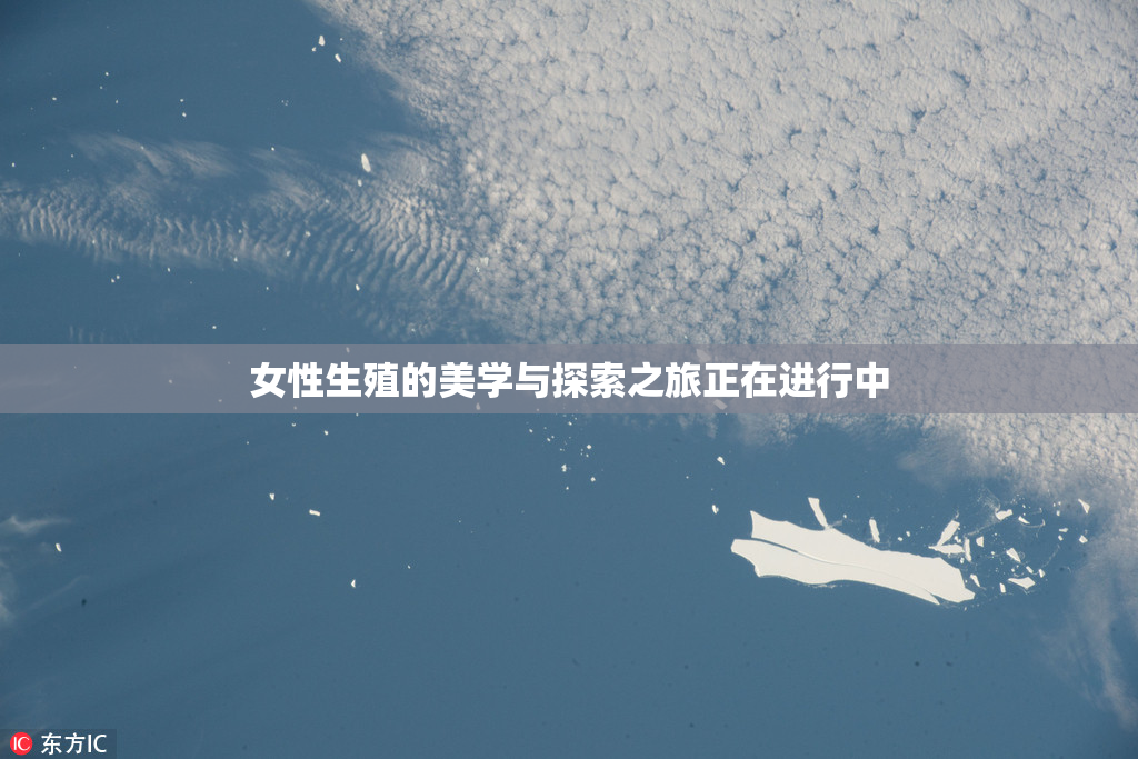 女性生殖的美学与探索之旅正在进行中
