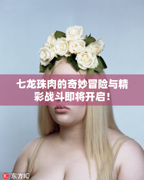 七龙珠肉的奇妙冒险与精彩战斗即将开启！