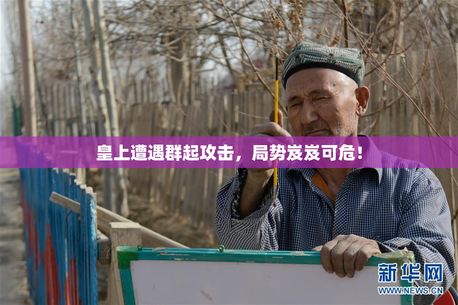 皇上遭遇群起攻击，局势岌岌可危！