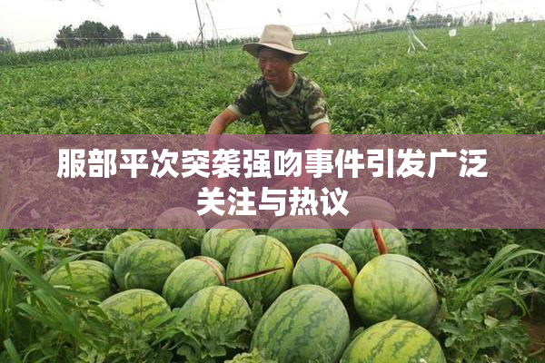 服部平次突袭强吻事件引发广泛关注与热议
