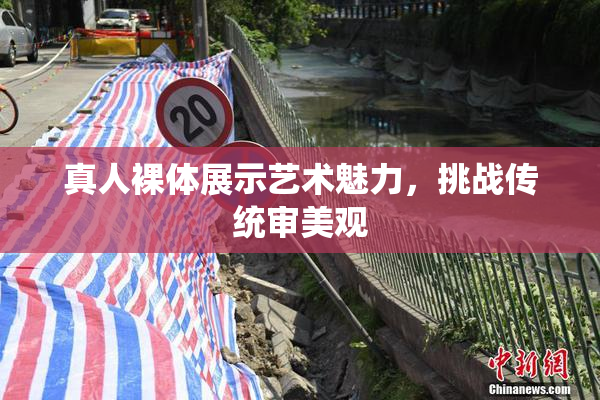 真人裸体展示艺术魅力，挑战传统审美观
