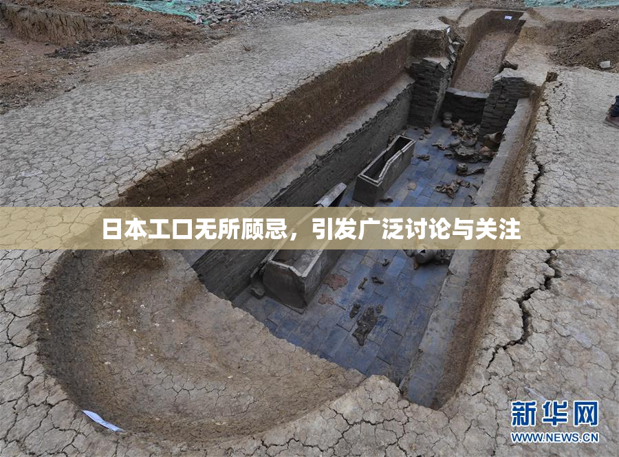 日本工口无所顾忌，引发广泛讨论与关注