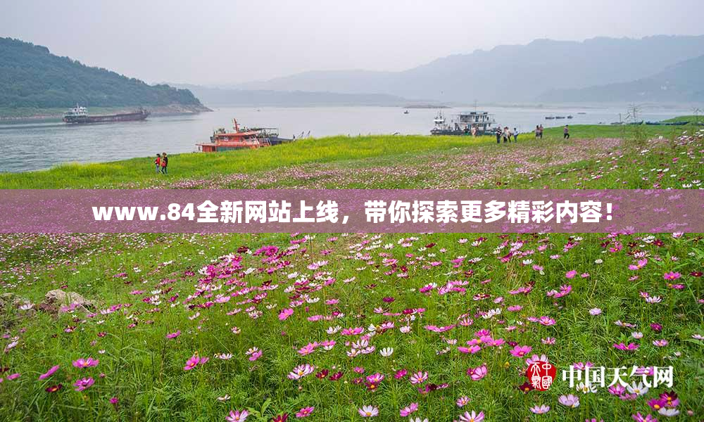 www.84全新网站上线，带你探索更多精彩内容！