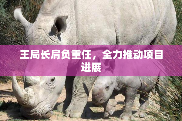 王局长肩负重任，全力推动项目进展