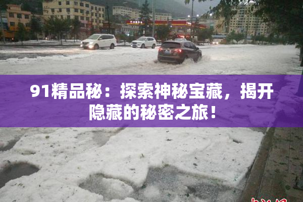 91精品秘：探索神秘宝藏，揭开隐藏的秘密之旅！