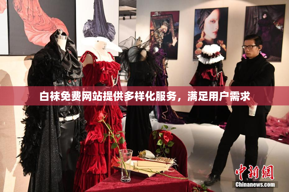 白袜免费网站提供多样化服务，满足用户需求