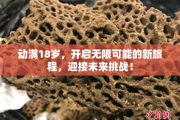 动满18岁，开启无限可能的新旅程，迎接未来挑战！