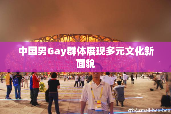 中国男Gay群体展现多元文化新面貌