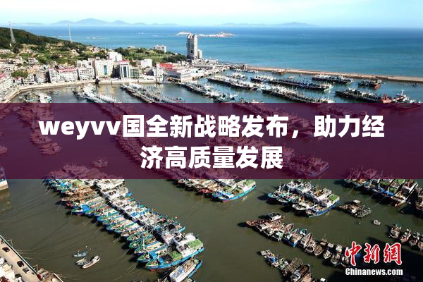 weyvv国全新战略发布，助力经济高质量发展