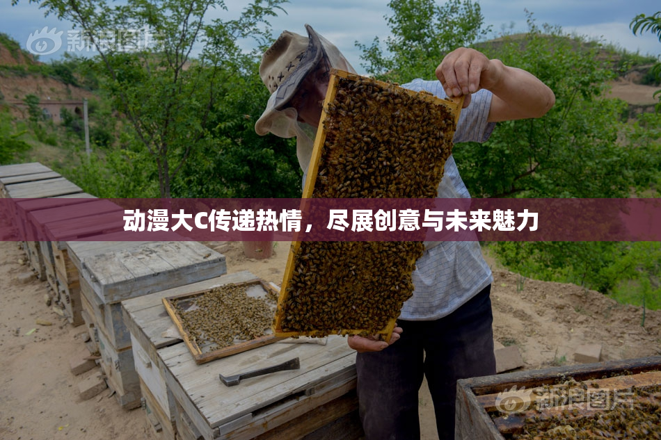 动漫大C传递热情，尽展创意与未来魅力