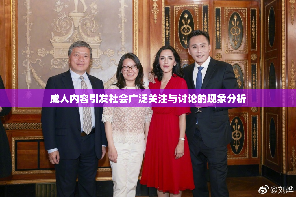 成人内容引发社会广泛关注与讨论的现象分析