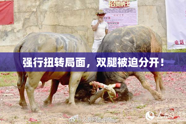 强行扭转局面，双腿被迫分开！