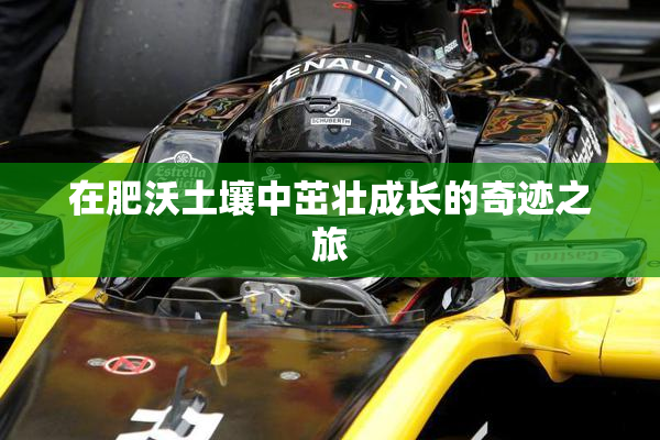 在肥沃土壤中茁壮成长的奇迹之旅