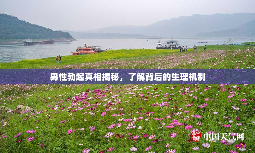 男性勃起真相揭秘，了解背后的生理机制