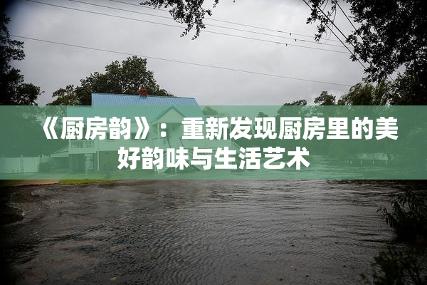 《厨房韵》：重新发现厨房里的美好韵味与生活艺术