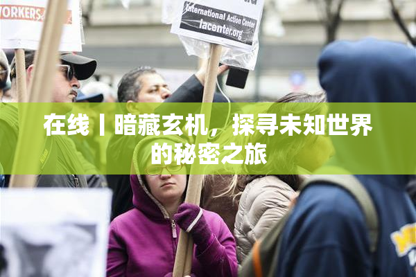 在线丨暗藏玄机，探寻未知世界的秘密之旅