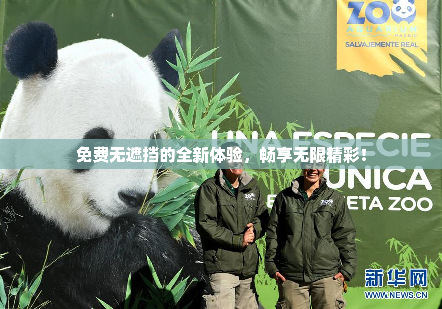 免费无遮挡的全新体验，畅享无限精彩！