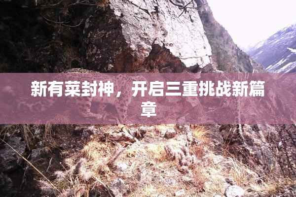 新有菜封神，开启三重挑战新篇章