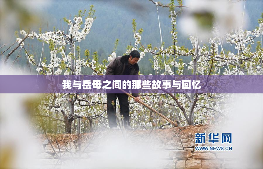 我与岳母之间的那些故事与回忆