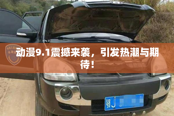 动漫9.1震撼来袭，引发热潮与期待！
