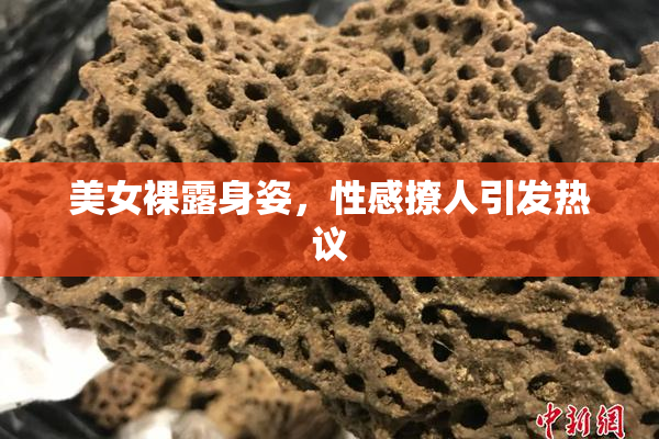 美女裸露身姿，性感撩人引发热议
