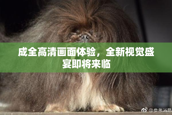 成全高清画面体验，全新视觉盛宴即将来临