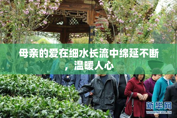 母亲的爱在细水长流中绵延不断，温暖人心