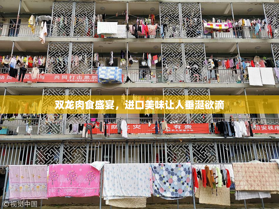 双龙肉食盛宴，进口美味让人垂涎欲滴