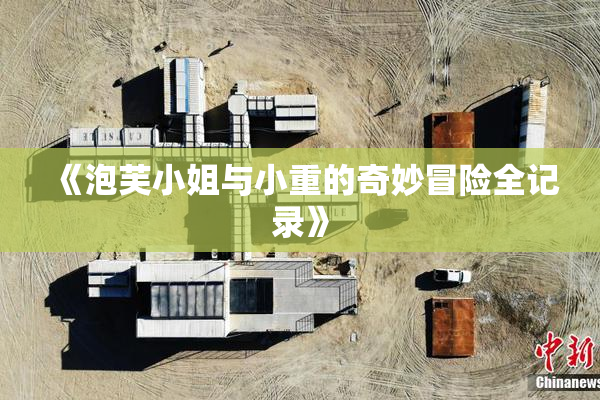 《泡芙小姐与小重的奇妙冒险全记录》