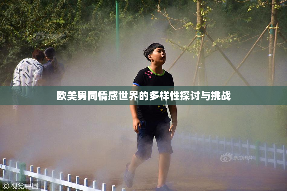 欧美男同情感世界的多样性探讨与挑战