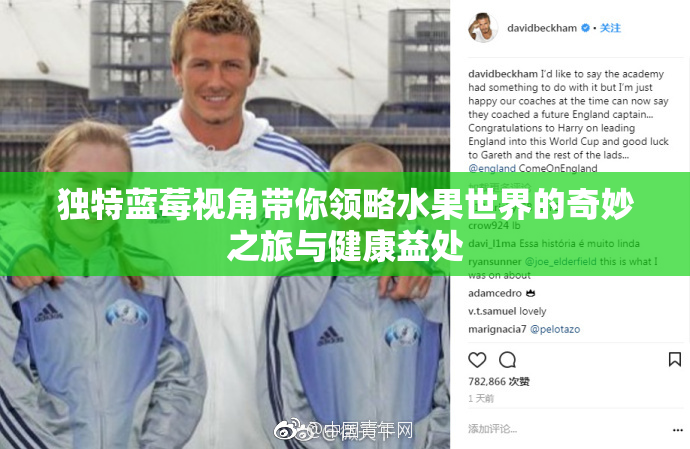 独特蓝莓视角带你领略水果世界的奇妙之旅与健康益处