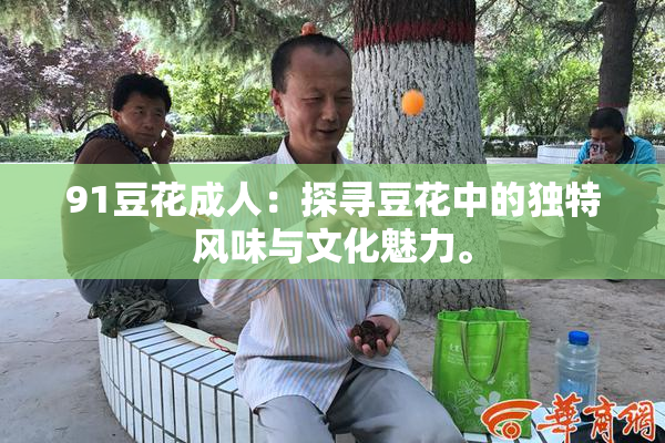 91豆花成人：探寻豆花中的独特风味与文化魅力。